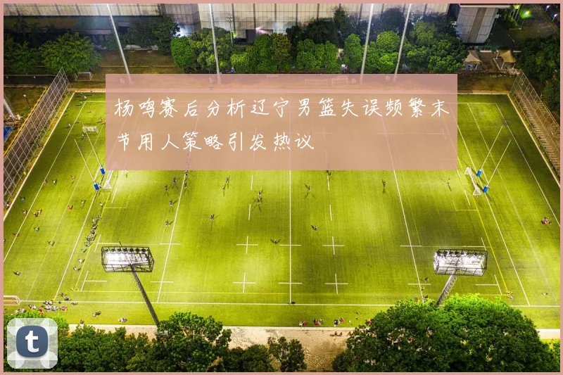 杨鸣赛后分析辽宁男篮失误频繁末节用人策略引发热议