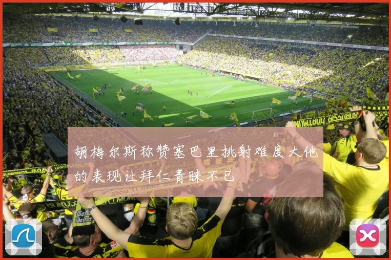 胡梅尔斯称赞塞巴里挑射难度大他的表现让拜仁青睐不已