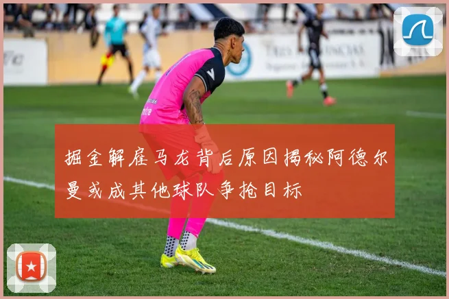 掘金解雇马龙背后原因揭秘阿德尔曼或成其他球队争抢目标