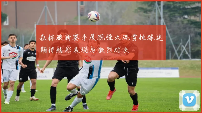 森林狼新赛季展现强大观赏性球迷期待精彩表现与激烈对决