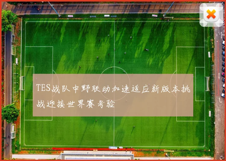 TES战队中野联动加速适应新版本挑战迎接世界赛考验