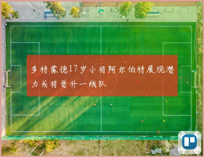 多特蒙德17岁小将阿尔伯特展现潜力或将晋升一线队